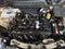 2025 Renault Kwid 5 pts. HB Intens, TM5, a/ac., R-14
